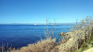 Rosas - Le Phare - 16
